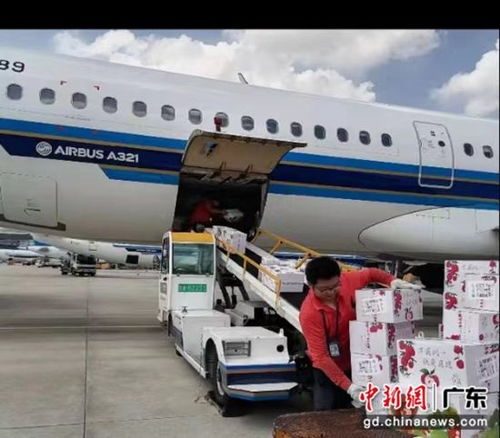 南航物流攜手廣東省農業農村廳助力‘荔’啟航，廣州物流賦能現代農業新篇章